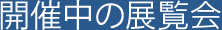 開催中の展覧会