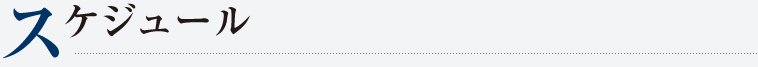 スケジュール